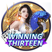 PTG0039 Winning Thirteen